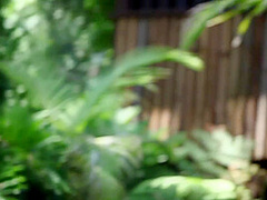 Jade Couture And Aaliyah Love In And Licking And Playing Outdoor, On
