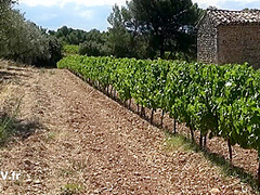 Anal Sex During The Harvest - French Classic, Lorenzo Viota And Rose Valerie