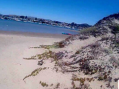 Monica Mendez - Kayak Flash 1