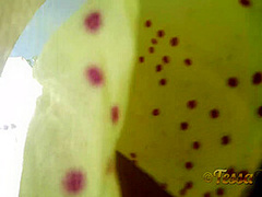 Tessa Fowler - Springtime Lingerie