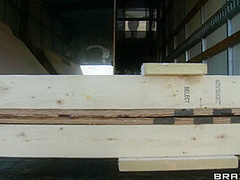 Fresh Jynx Juice With Levi Cash, Jynx Maze - Brazzers