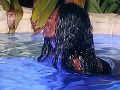 Glitter Tease - RealityKings with Ramon Nomar, Rylee Foxxx