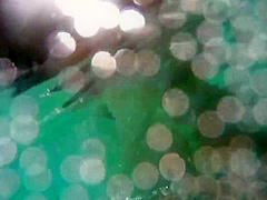 Sahara Knite And Karlie Simon In Lesbian Waterbabies