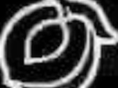 Horny And Having Girl Fuck Outdoors With Kali Sudhra And Calita Fire