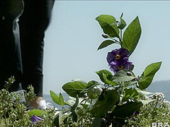 Switchblade Slut With Johnny Sins, Sarah Vandella - Brazzers