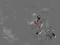 Asian Lady's Hidden Camera Hardcore Encounter: A Steamy Affair