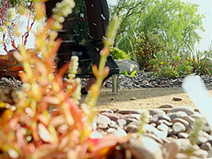 The Bidding War With Alexis Fawx, Isiah Maxwell, Ricky Johnson - Brazzers