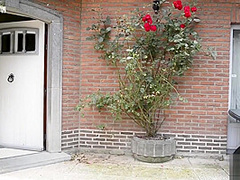 Hot Latex Babe Makes His Day