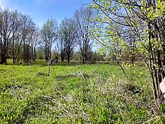 we are watched ass fucking in public