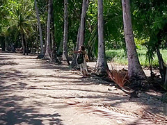 Hottest Adult Blonde Exotic