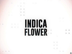Raver Chick, Worker Dick & Stepmom Fix With Indica Flower, Air Thugger, Lolly Dames - Brazzers