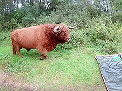 Gangbang With Noire #5 Sample #5 - Re-edited