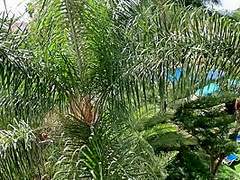 Hot Pov Bj, Doggy And Creampie On The Hotels Balcony In Tenerife 4k