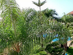 Hot Pov Bj, Doggy And Creampie On The Hotels Balcony In Tenerife 4k