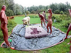 Gangbang With Noire #5 Sample #5 -with Guest Appearance Of A Real Bull