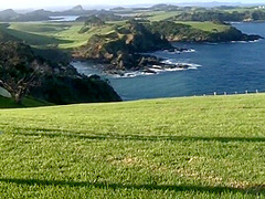 The Crack Kala - Melisa Mendiny And Little Caprice