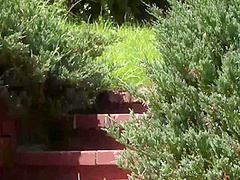 Russian Babe Enjoys Hot Afternoon Masturbation 10 Min