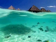 Melisa Mendiny - Hot Tropical Sea