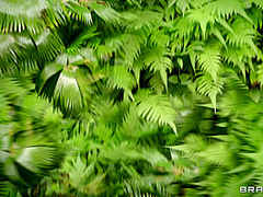 Sunbathing Starr With Jmac, Rachel Starr - Brazzers