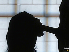 Vente, Quedate Un Rato With Johnny Sins, Asa Akira - Brazzers