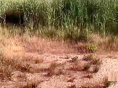 Luna Regina Del Porno Scopata E Sodomizzata Senza Tregua Parte 3