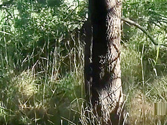 Luna Regina Del Porno Scopata E Sodomizzata Senza Tregua Parte 3