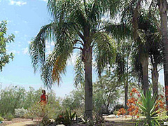 Rubbing Jexxxica The Right Way With Dante Colle, Jexxxica Blake - Brazzers