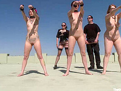 Service Day: Roof - Kink