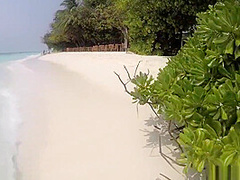 Observed And Fucked In The Maldives With Little Caprice