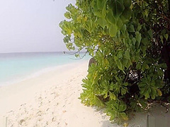Observed And Fucked In The Maldives With Little Caprice