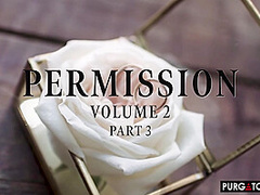 Permission Vol 2 E3