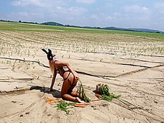 Horny Bunny And Jana Volkova In Her Carrots Hd