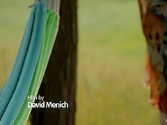 Back Country 2 - Monika May