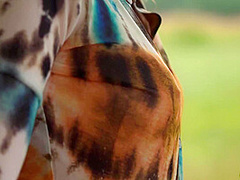 Back Country 2 - Monika May