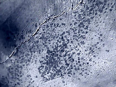 Got Fucked Hard by the Pool - Bemefi