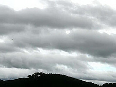 'the Dig': A Bdsm Abduction Horror Feature Film - Kink