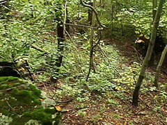 'the Dig': A Bdsm Abduction Horror Feature Film - Kink