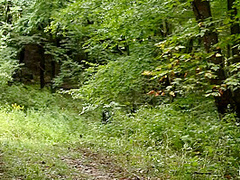 'the Dig': A Bdsm Abduction Horror Feature Film - Kink