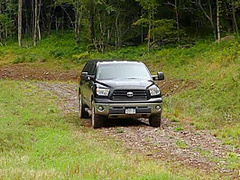 'the Dig': A Bdsm Abduction Horror Feature Film - Kink