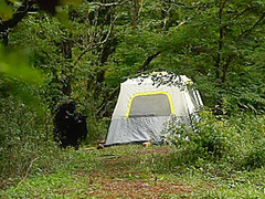 'the Dig': A Bdsm Abduction Horror Feature Film - Kink