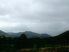 'the Dig': A Bdsm Abduction Horror Feature Film - Kink