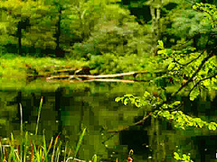 'the Dig': A Bdsm Abduction Horror Feature Film - Kink