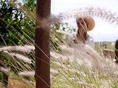 Wild Chica 2 - Tavia