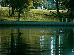 Late Night Tales - 1 - Quickie In City Park