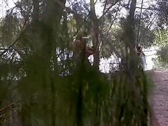 Ebony Veronica Woodtip 2