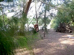 Ebony Veronica Woodtip 2