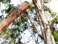 3 Aussies have Real Intense Orgasm at SouthernSins