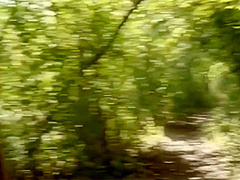 Sybil Kailena - Lovely Lesbians